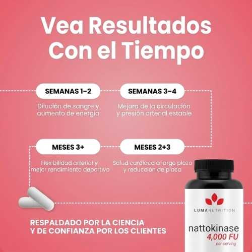 Encabezado