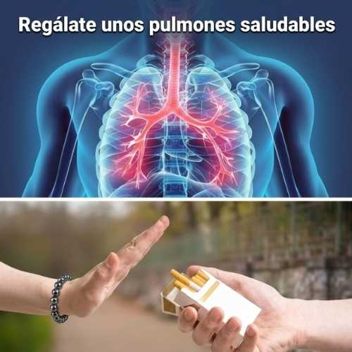 Encabezado