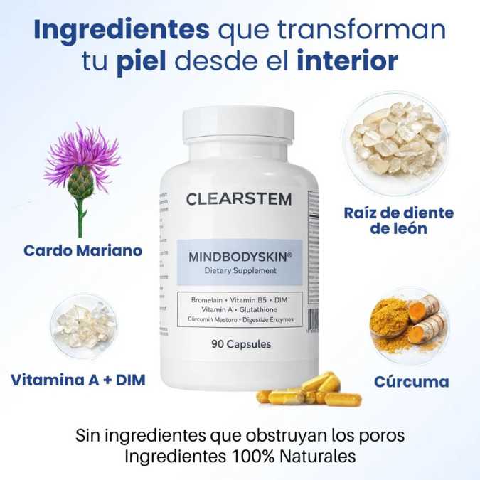 Encabezado