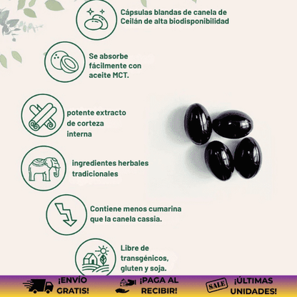 Canela de Ceilán® | Suplemento reductor del nivel de azúcar en la sangre